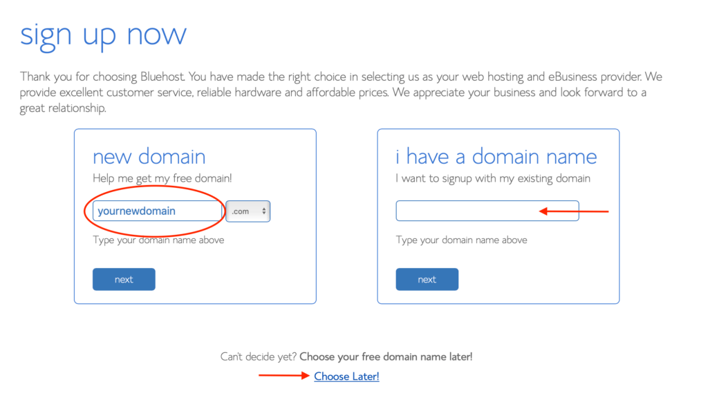 How to start a blog with Bluehost and WordPress - domain name